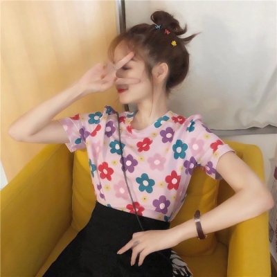 狗州体育如何正式版
