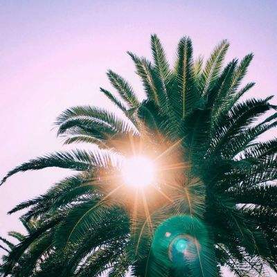 无拖链式电缆导向系统：igus研发...