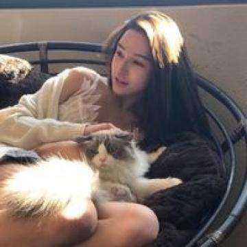 汽车电子的“神经脉络“怎么查？...